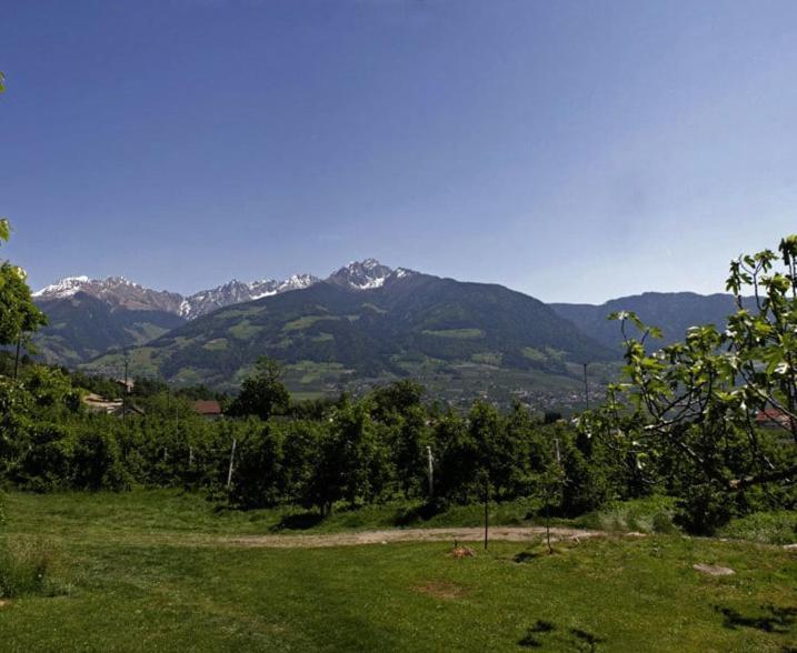 Ferienwohnung Garni Streitlhof Dorf Tirol Exterior foto
